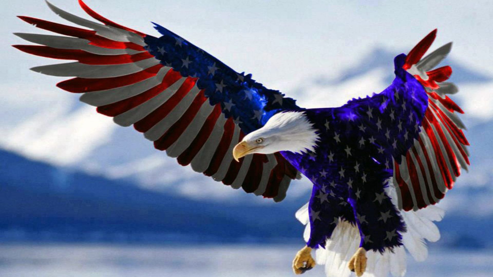 Aquila calva bandiera americana, 1920x1080 1080p, Desktop