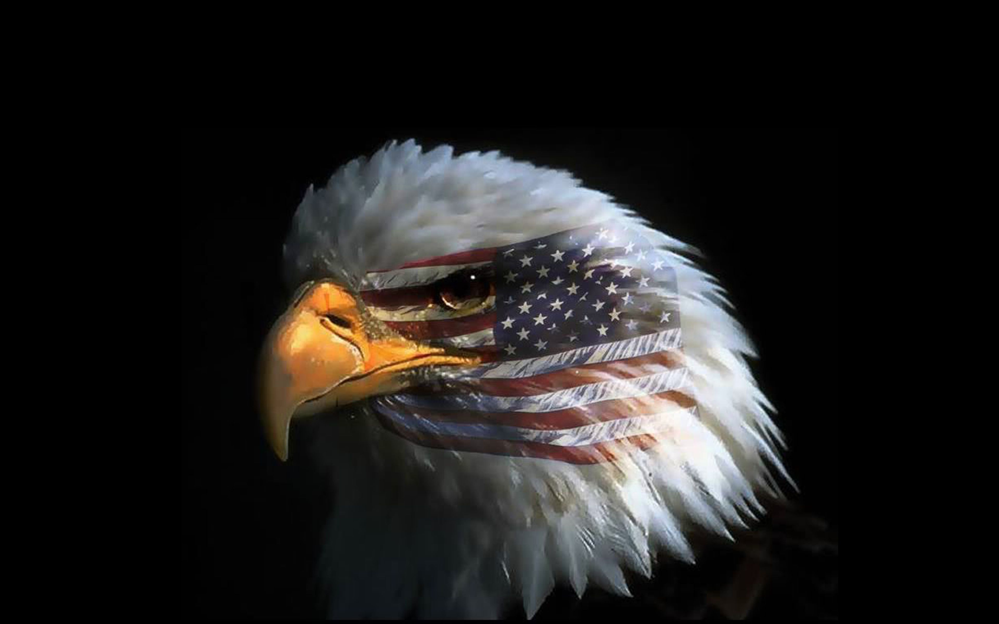 Aquila con bandiera americana, 3840x2400 Ultra HD, 4K TV