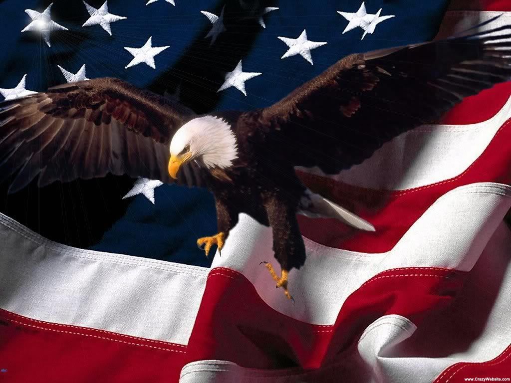 Aquila calva con bandiera americana, 1024x768 HD, Desktop