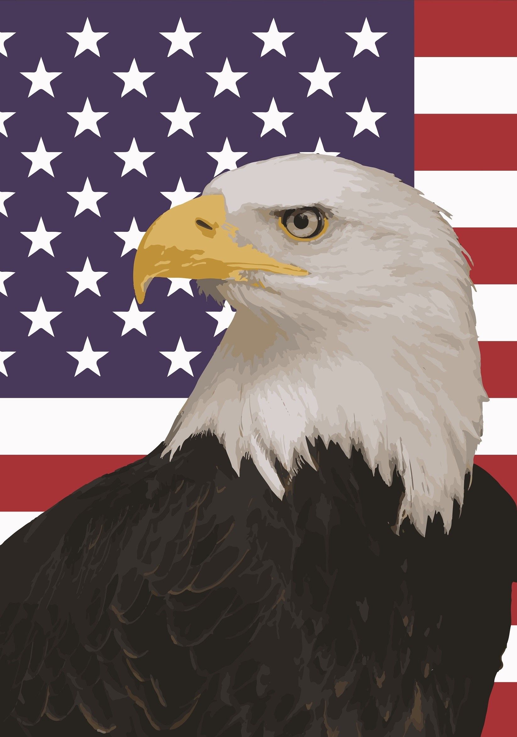 Aquila calva con bandiera americana, 1644x2340 Full HD Verticale, iPhone