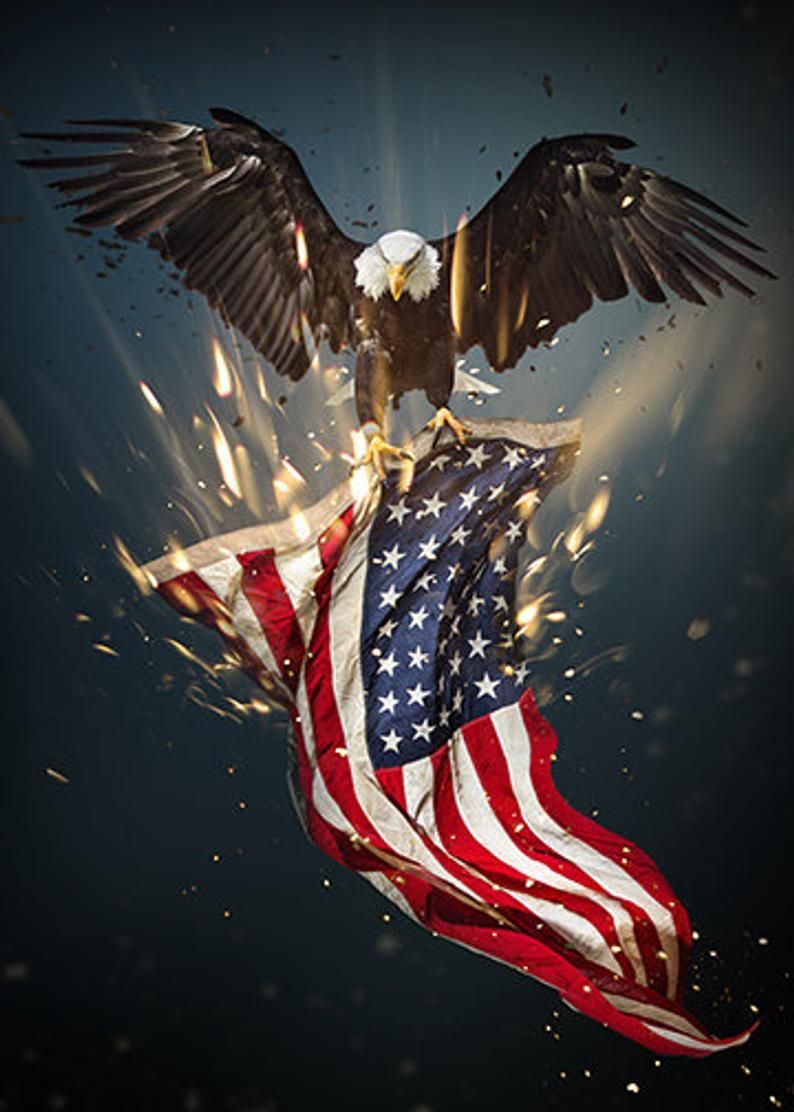 Aquila calva con bandiera americana, 794x1112 Verticale, POCO