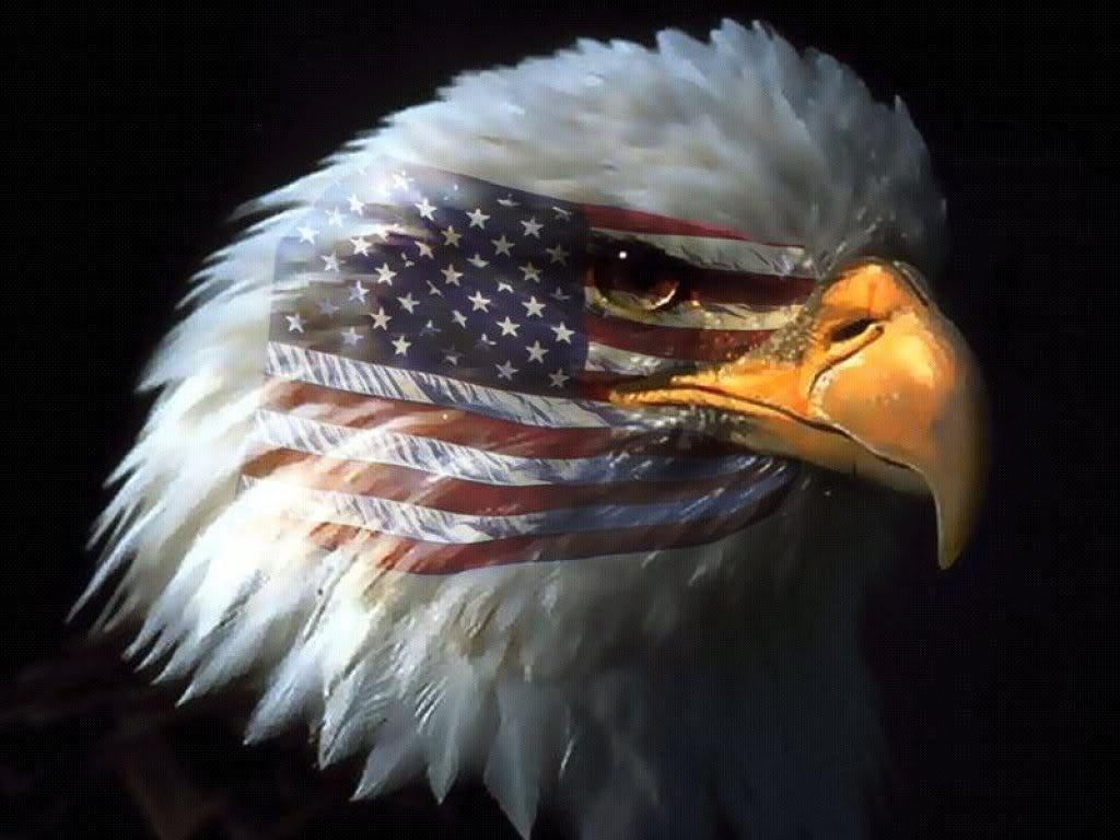 Aquila calva bandiera americana, 1024x768 HD, PC Desktop