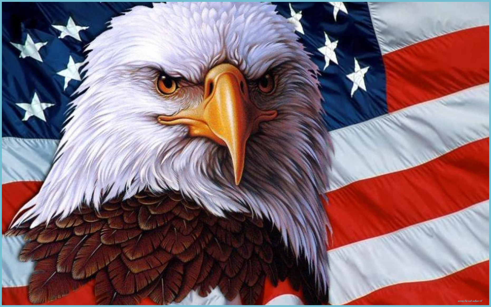 Aquila calva bandiera americana, 1862x1164 HD Ready, Desktop