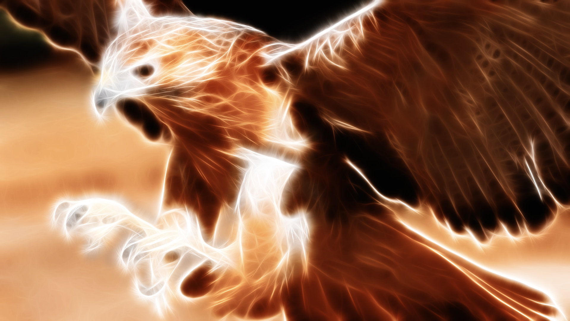 Aquila effetto frattale luminoso, 1920x1080 Full HD 1080p, PC