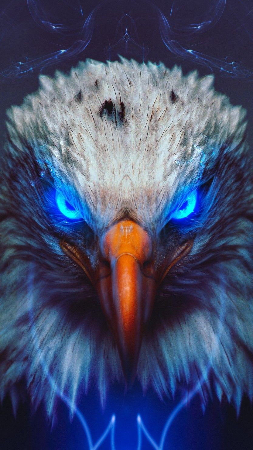 Aquila neon occhi blu, 833x1481 Verticale, Mobile