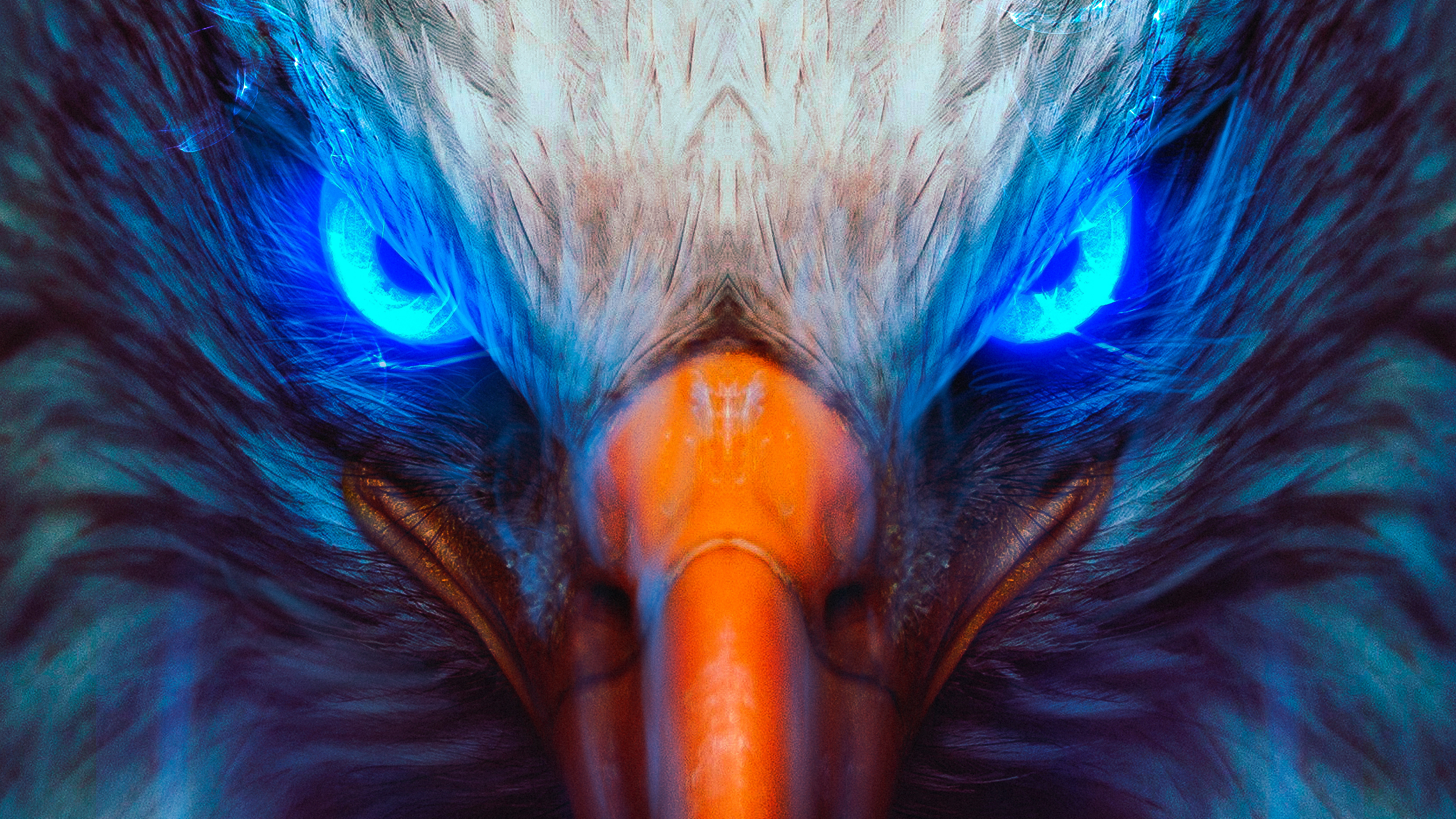 Aquila occhi blu ravvicinata, 3332x1874 2K, Laptop