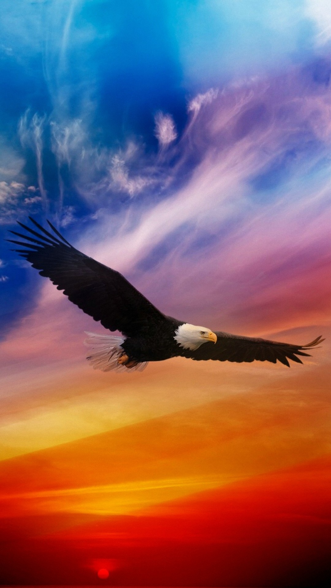 Aquila calva in volo tramonto, 1080x1920 Verticale, Telefono