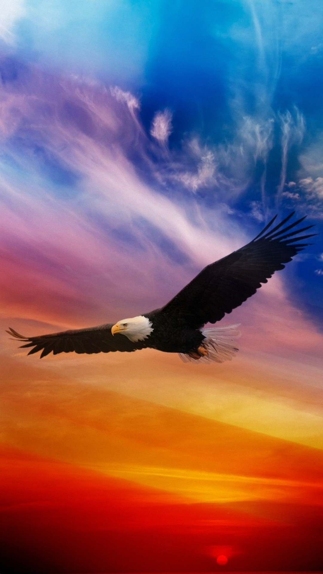 Aquila calva in volo, tramonto, 1080x1920 Verticale, Telefono