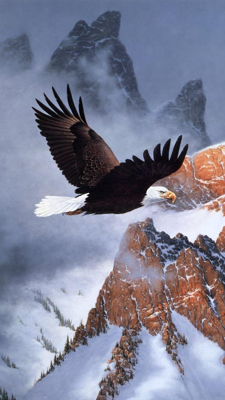 Aquila calva in volo montagne, 720x1280 Full HD Verticale, Smartphone