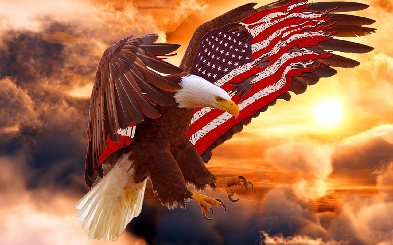 Aquila calva con bandiera americana, 1280x800 720p, PC