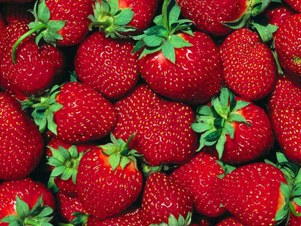 fragole rosse mature, 1024x768 HD, PC Desktop
