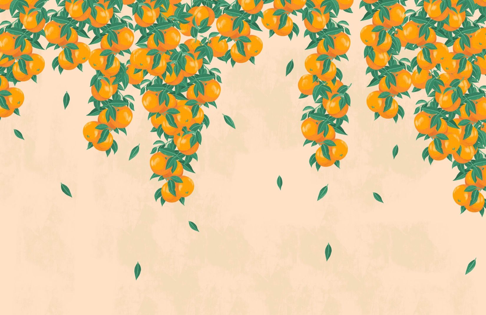 Rami di arance illustrati, 1650x1070 HD Ready, Desktop