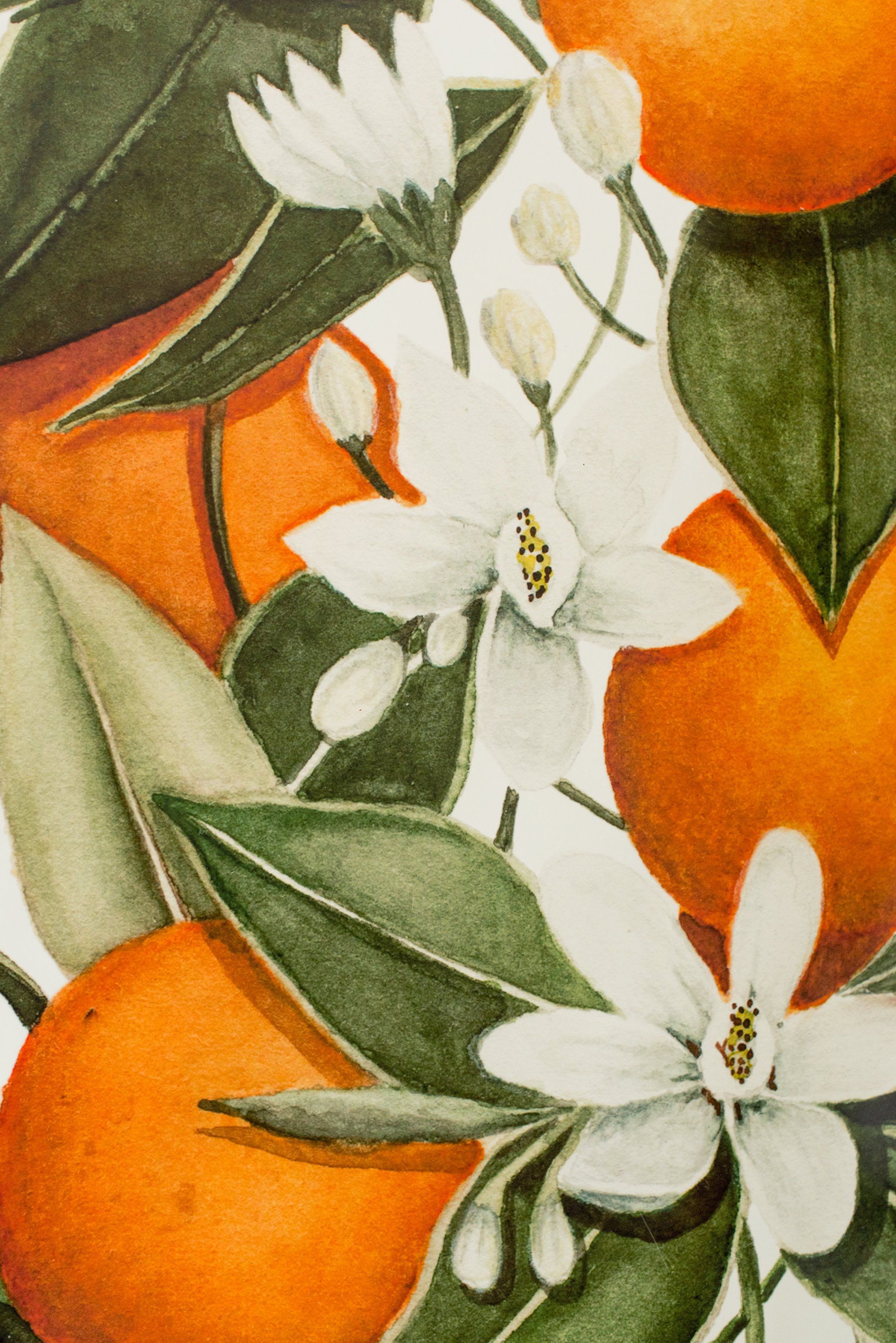 Arance con fiori bianchi, 2100x3146 Full HD Verticale, Smartphone