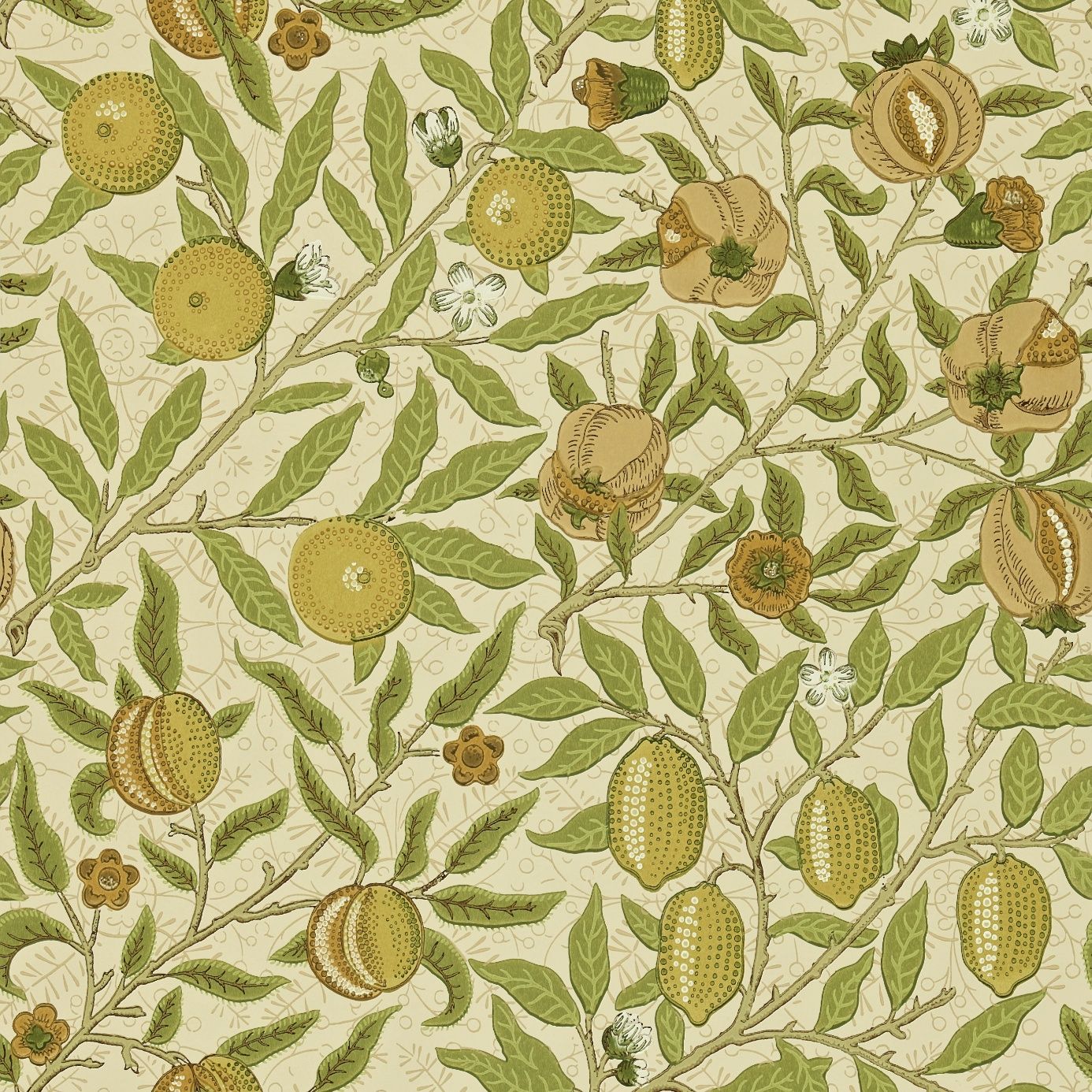 motivo frutta William Morris, 1386x1386 720p, PC