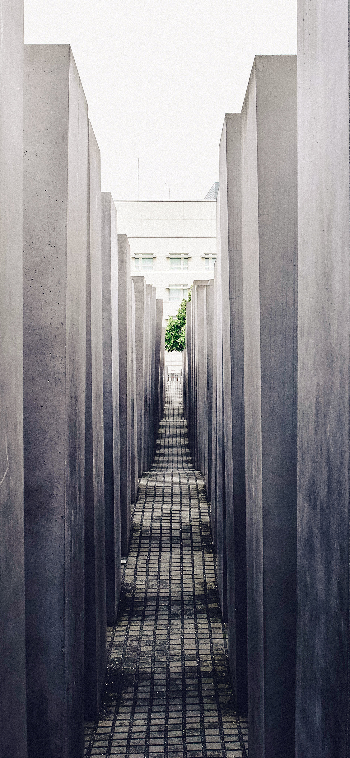 Memoriale Olocausto Berlino grigio, 1125x2436 Full HD Verticale, Smartphone