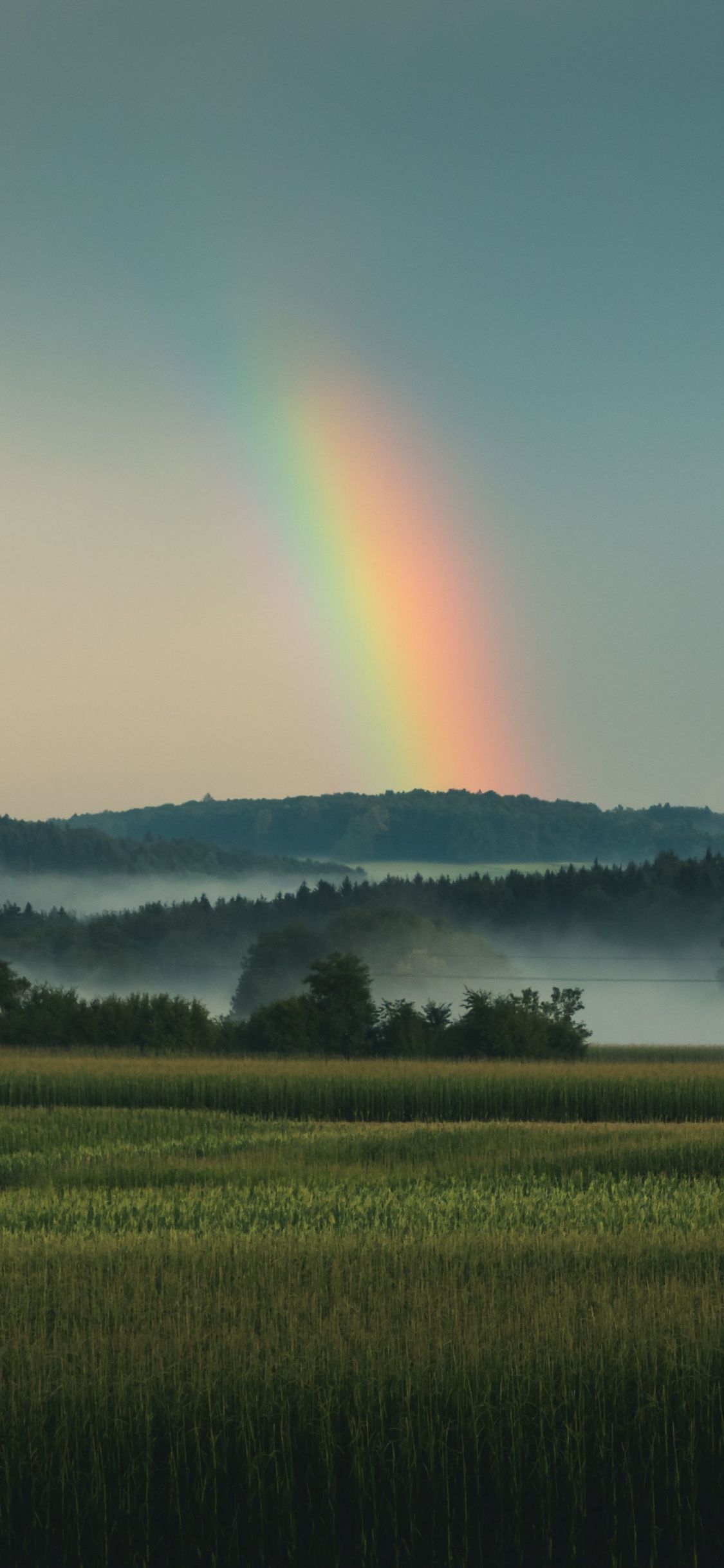 Arcobaleno su prato verde, 1125x2436 Full HD Verticale, iPhone Air