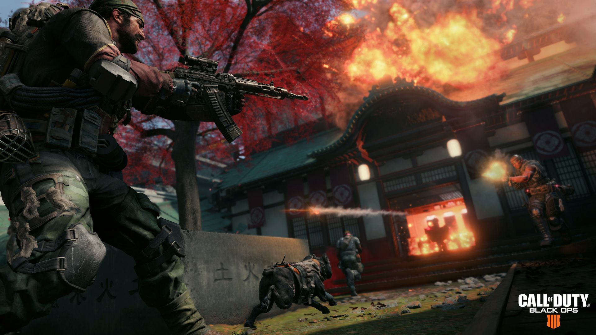 Soldati Call of Duty Black Ops 2, Activision, 1920x1080 1080p, Laptop