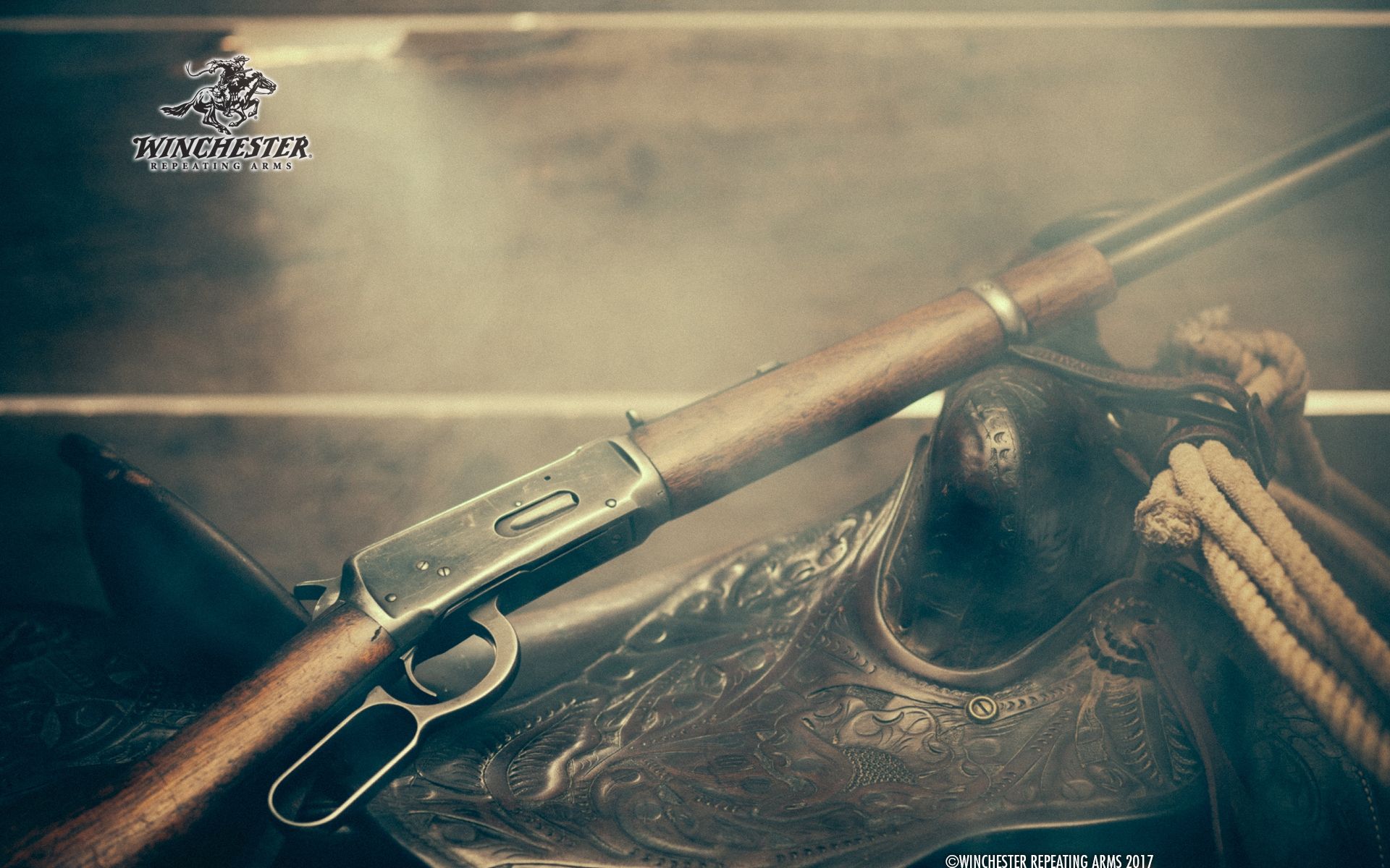 Fucile Winchester con sella western, 1920x1200 WUXGA, PC