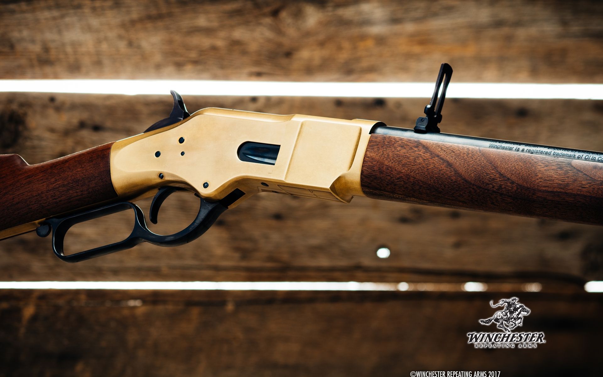Fucile Winchester leva ottone, 1920x1200 Full HD+, Laptop