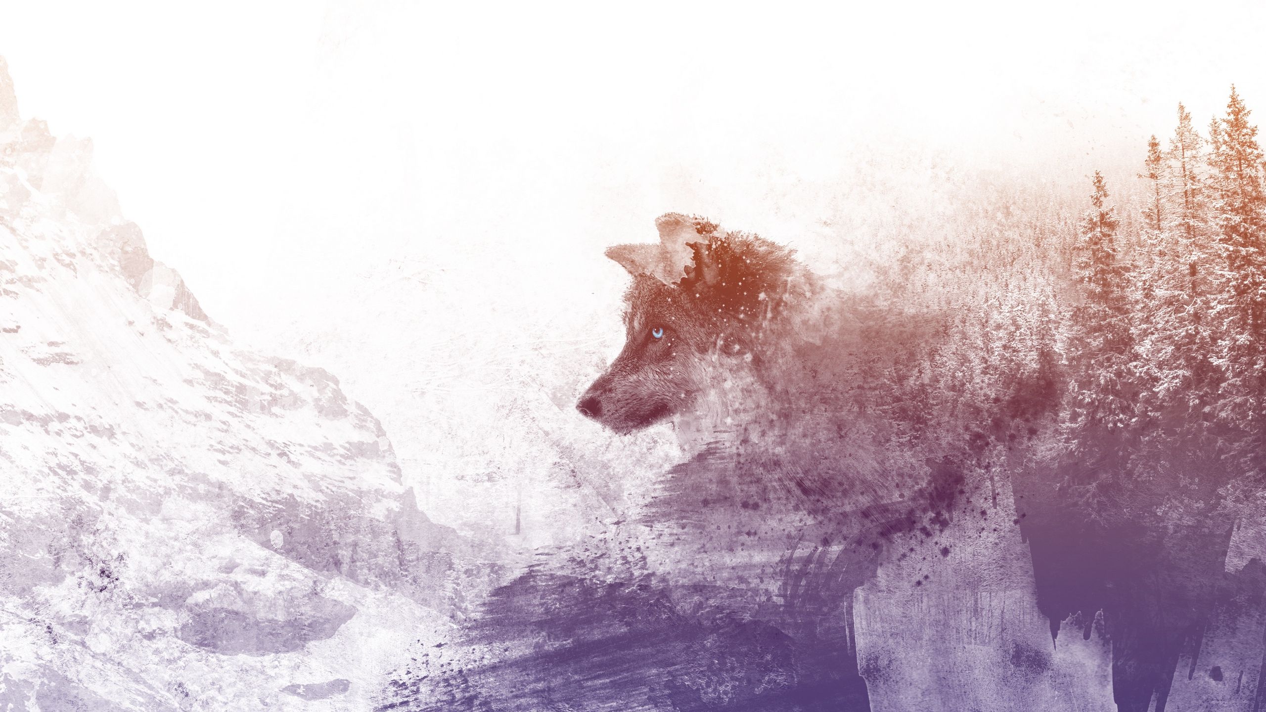 Lupo doppia esposizione foresta, 2560x1440 2K, Desktop