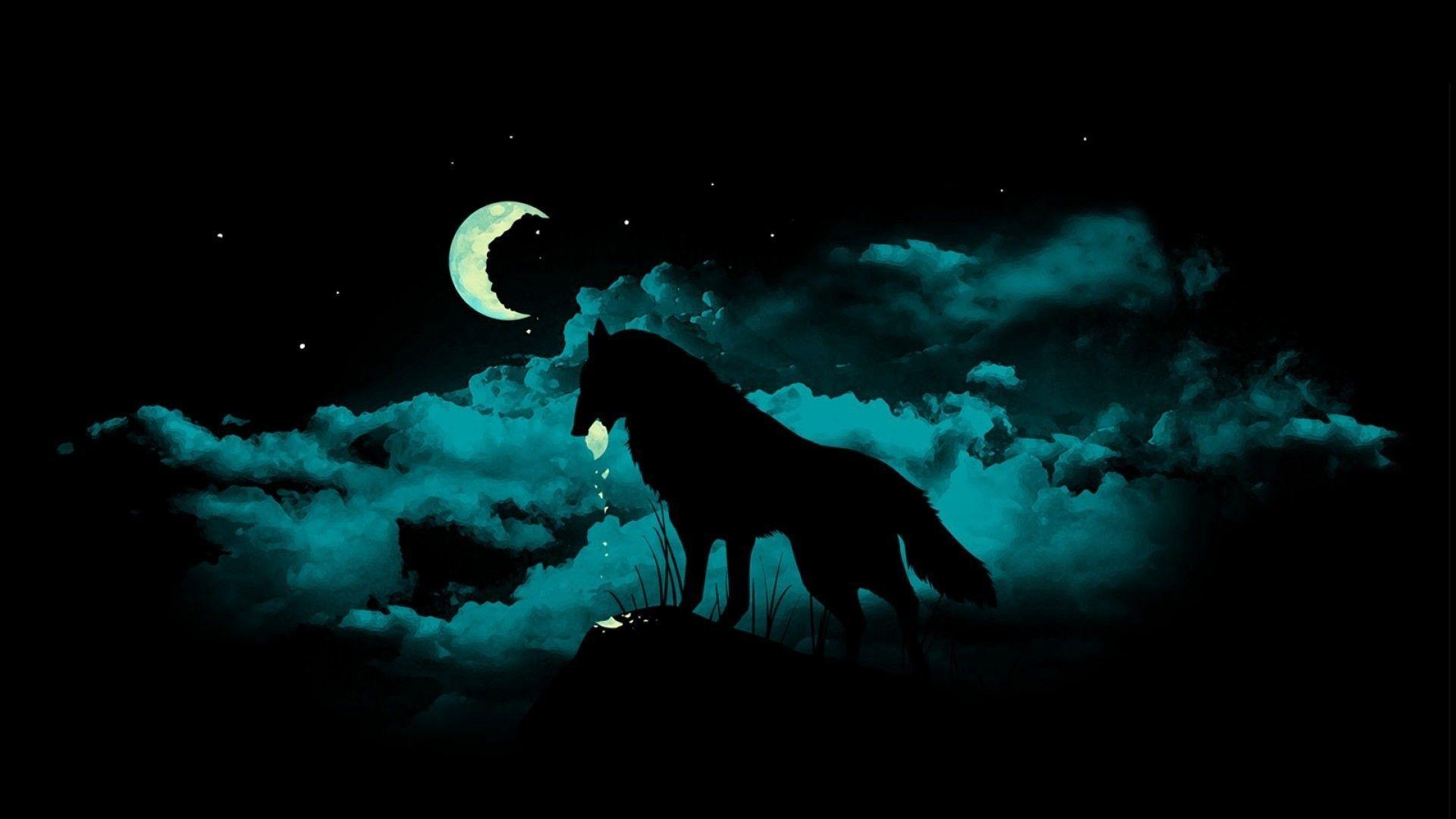 Lupo silhouette nella notte, 1920x1080 1080p, Laptop
