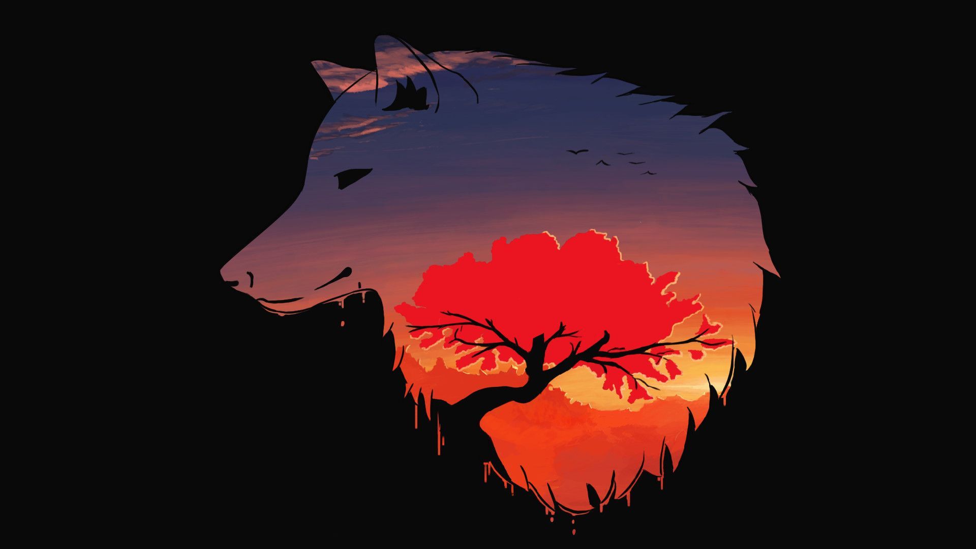 Lupo silhouette con albero tramonto, 1920x1080 1080p, PC