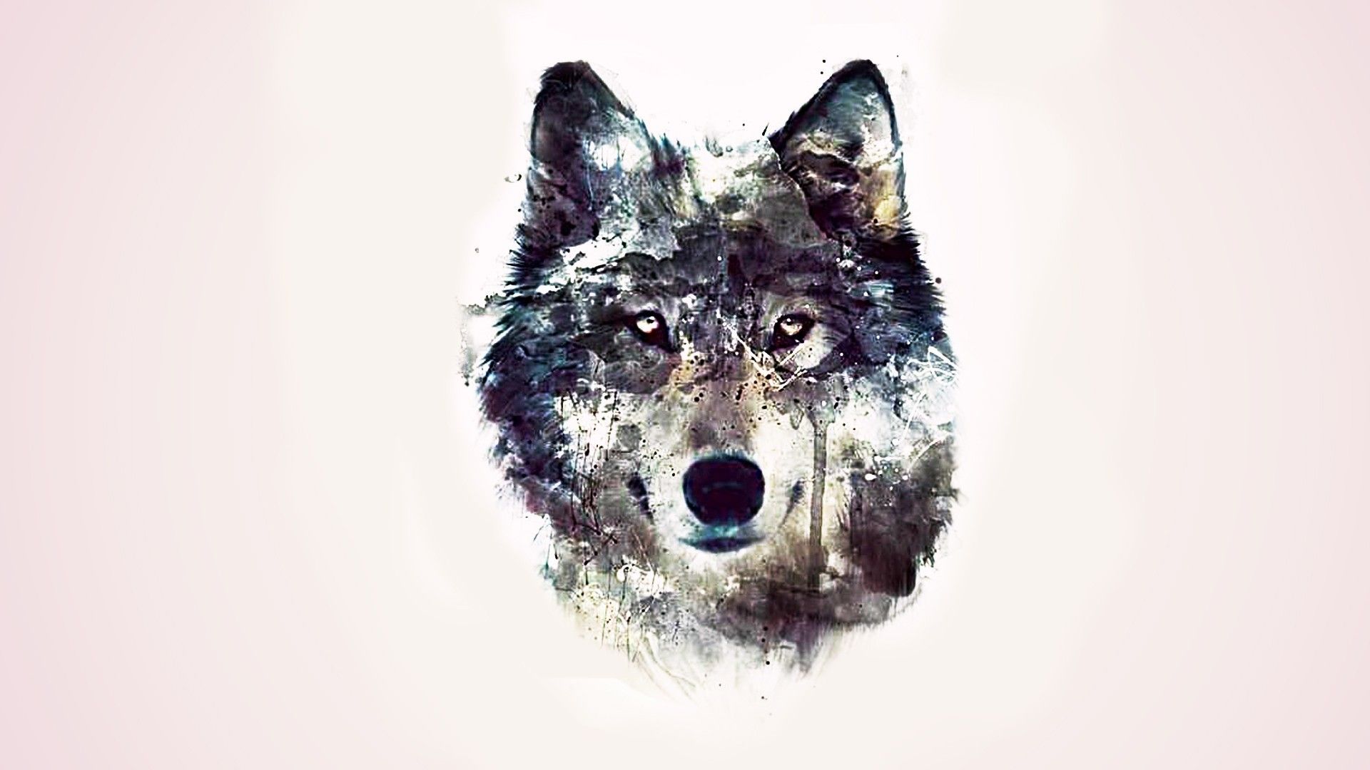 Lupo artistico acquerello, 1920x1080 Full HD 1080p, PC