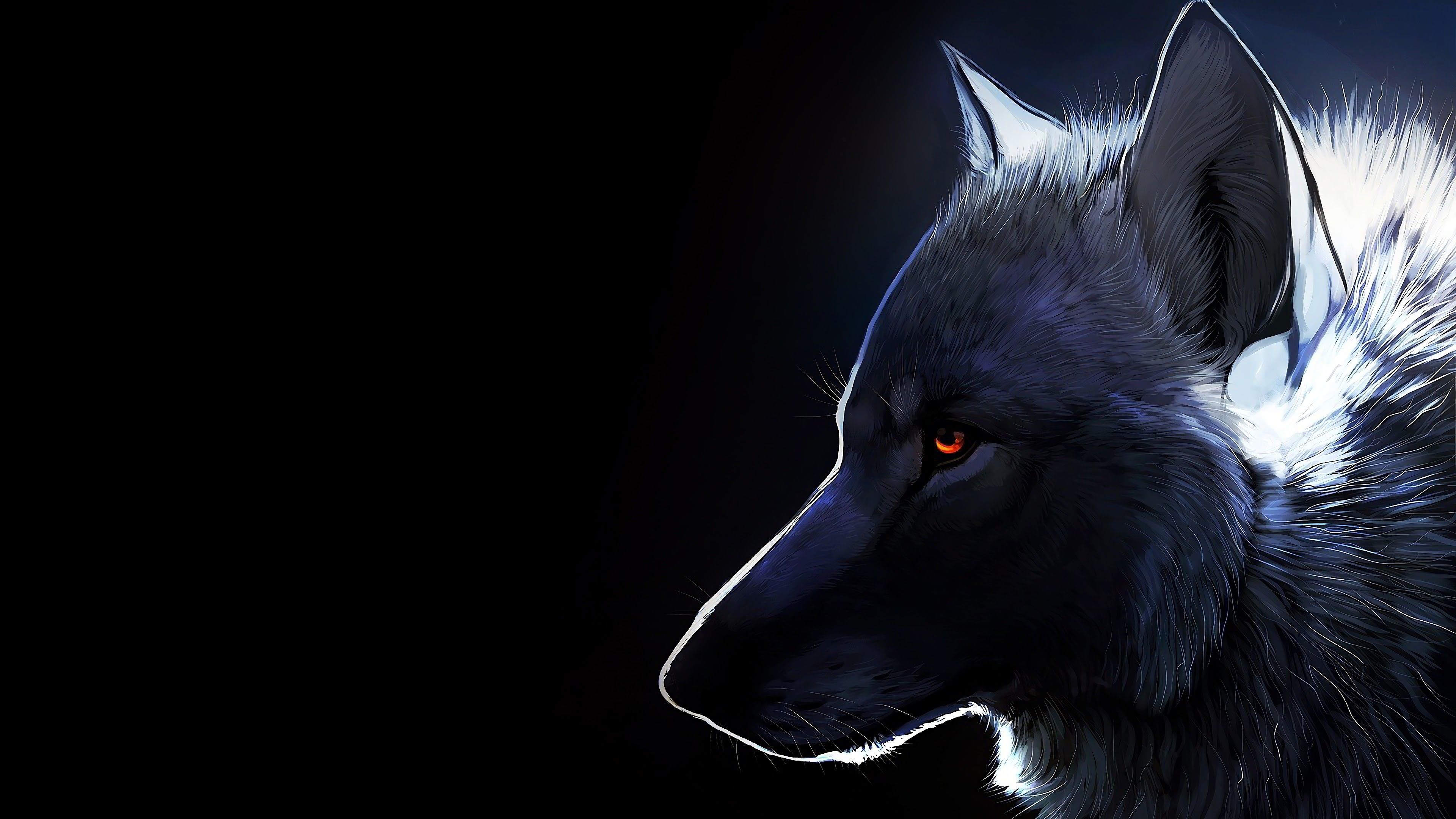 Lupo artistico su sfondo nero, 3840x2160 Ultra HD, 4K TV
