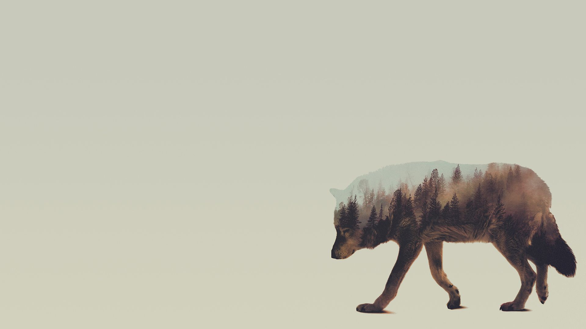 Lupo doppia esposizione con foresta, 1920x1080 Full HD, Desktop