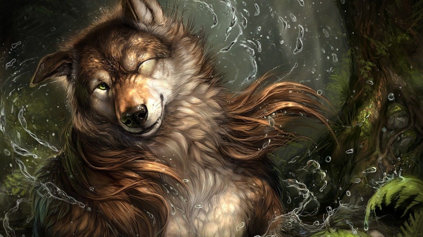 Lupo artistico nell'acqua, 1366x768 720p, PC