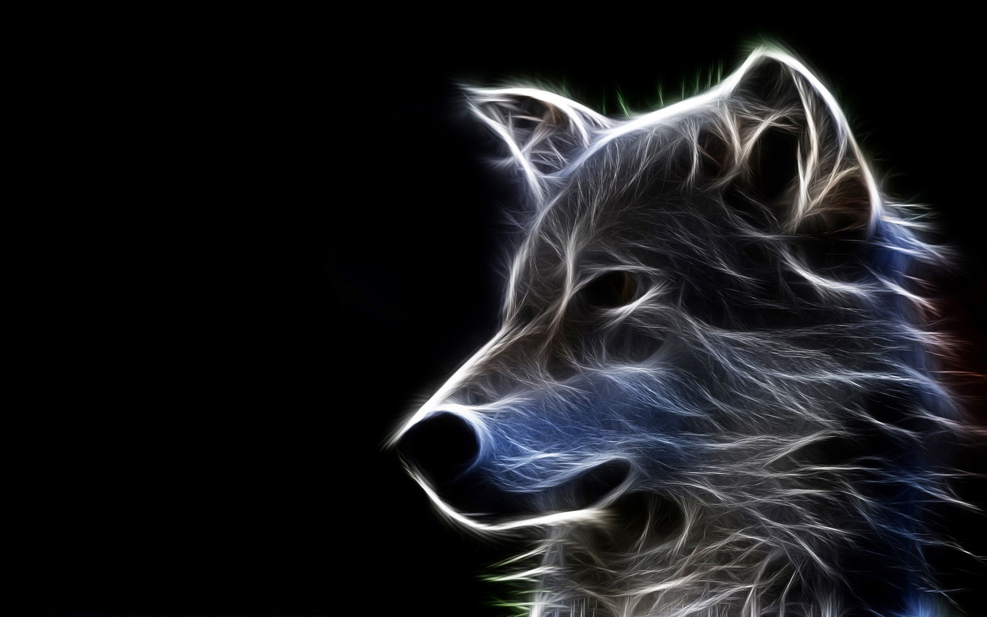 Lupo luminoso digitale sfondo nero, 1920x1200 Full HD+, Desktop