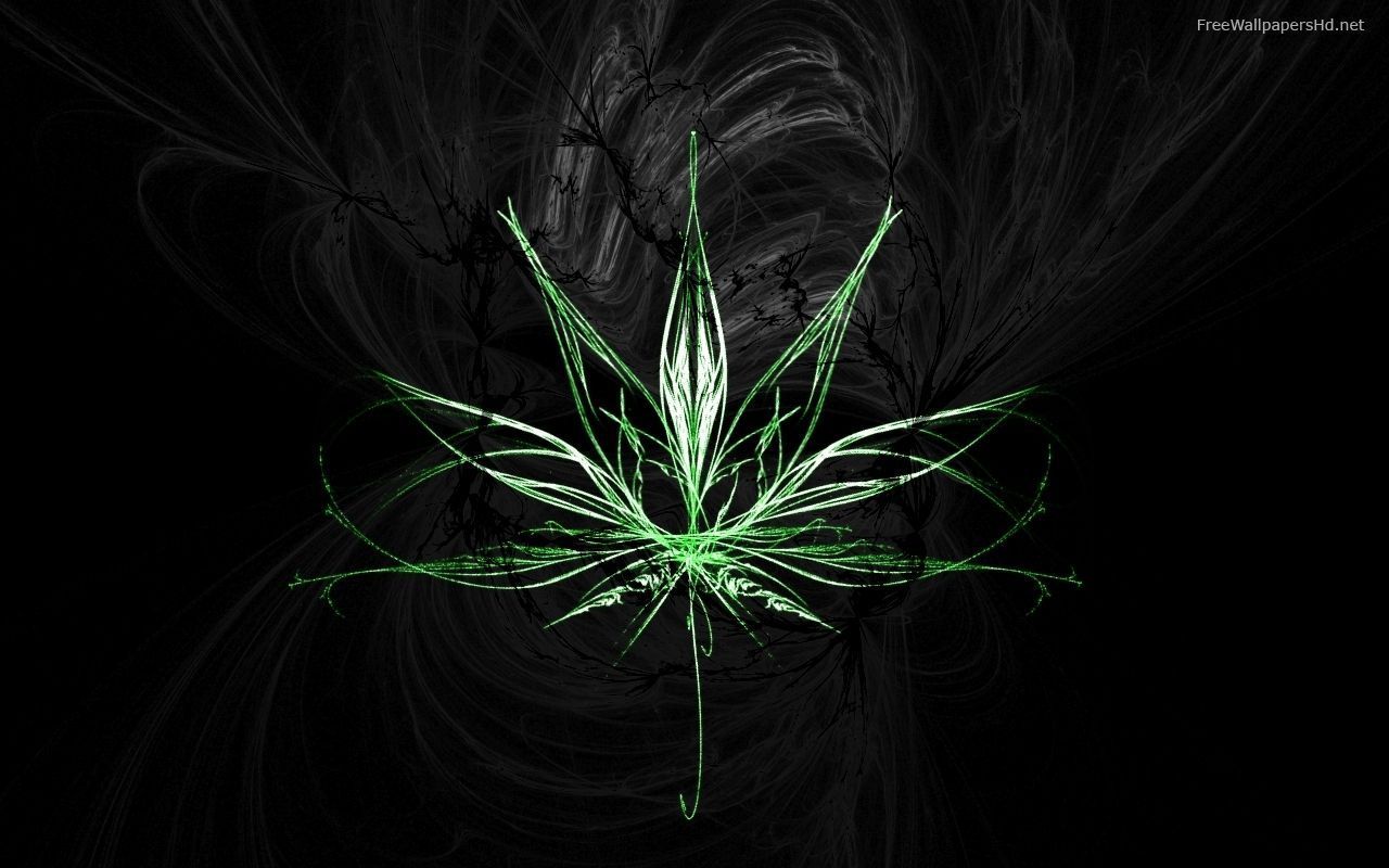 Mano con foglie cannabis verdi luminose, 1920x1080 Full HD 1080p, Laptop