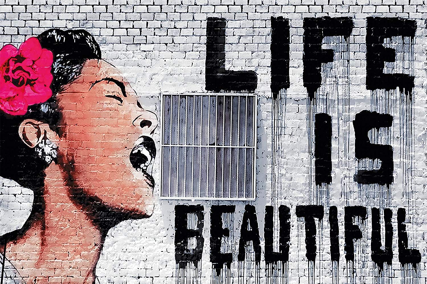 Murale Banksy donna fiore rosa, 1500x997 HD, Desktop