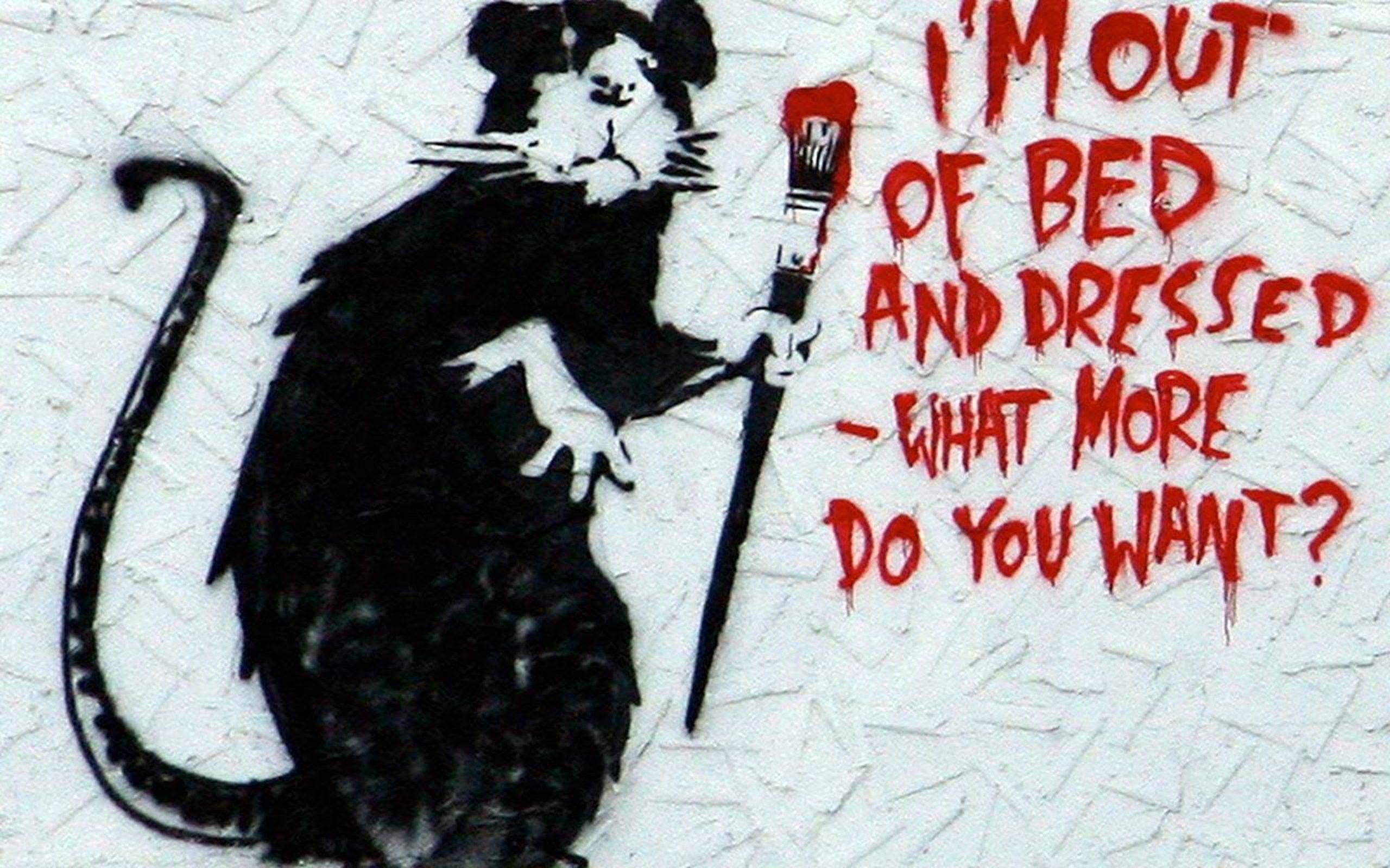 Ratto stencil Banksy con pennello, 1680x1050 900p, Desktop
