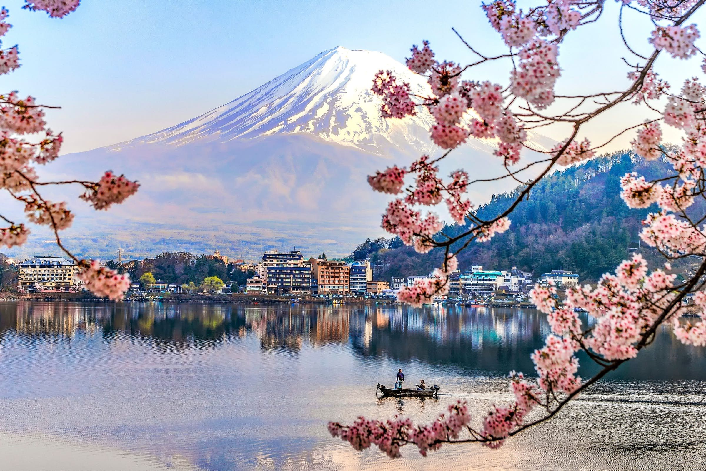 Monte Fuji con fiori di ciliegio, Giappone, 2400x1602 alta risoluzione, Laptop