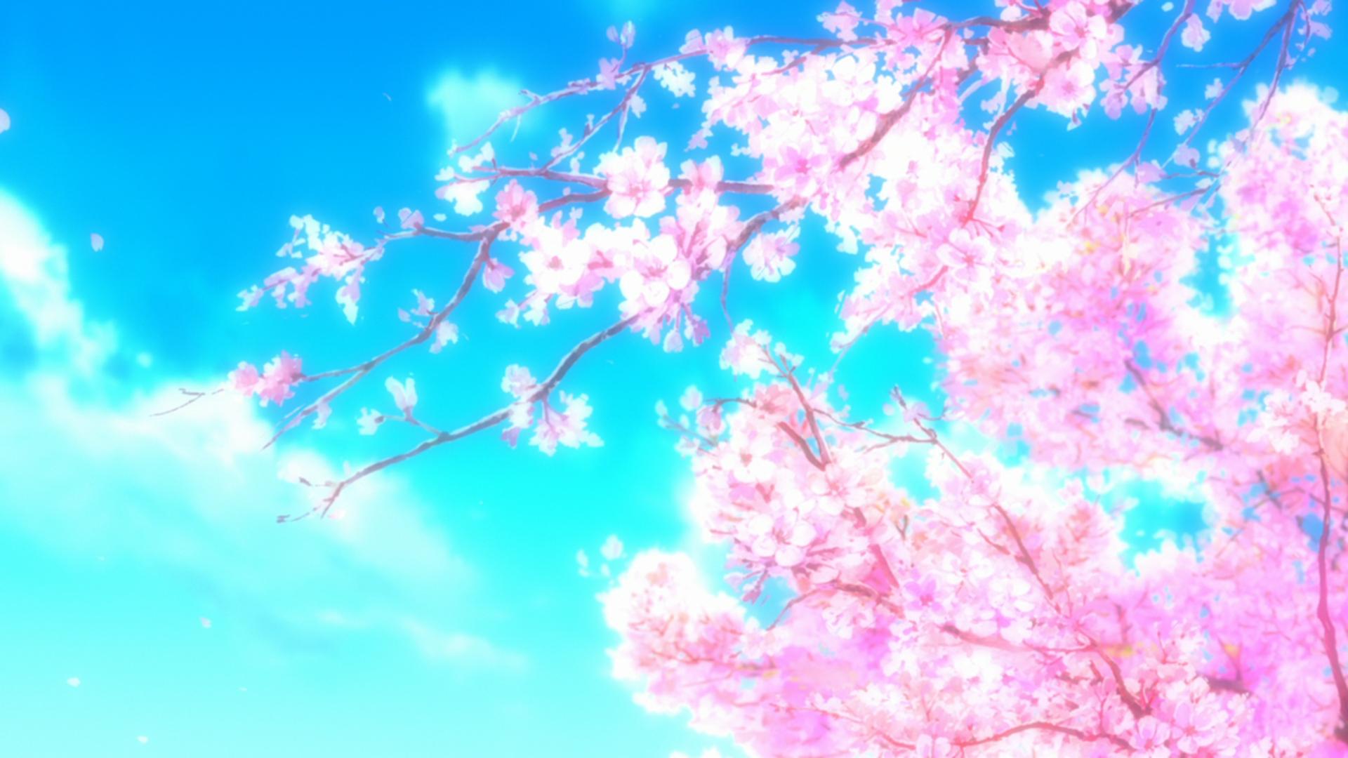 Fiori di ciliegio dipinti, cielo azzurro, 1920x1080 Full HD, PC Desktop
