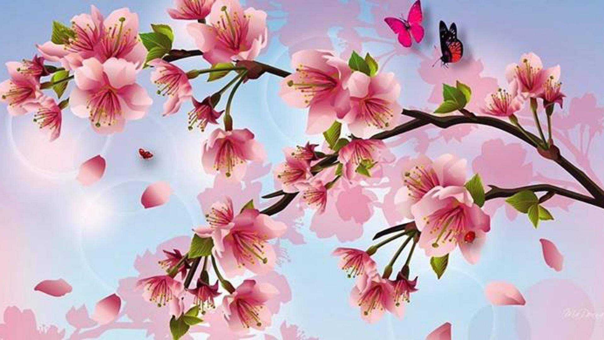 Ramo fiori di ciliegio farfalla, 1920x1080 1080p, Desktop