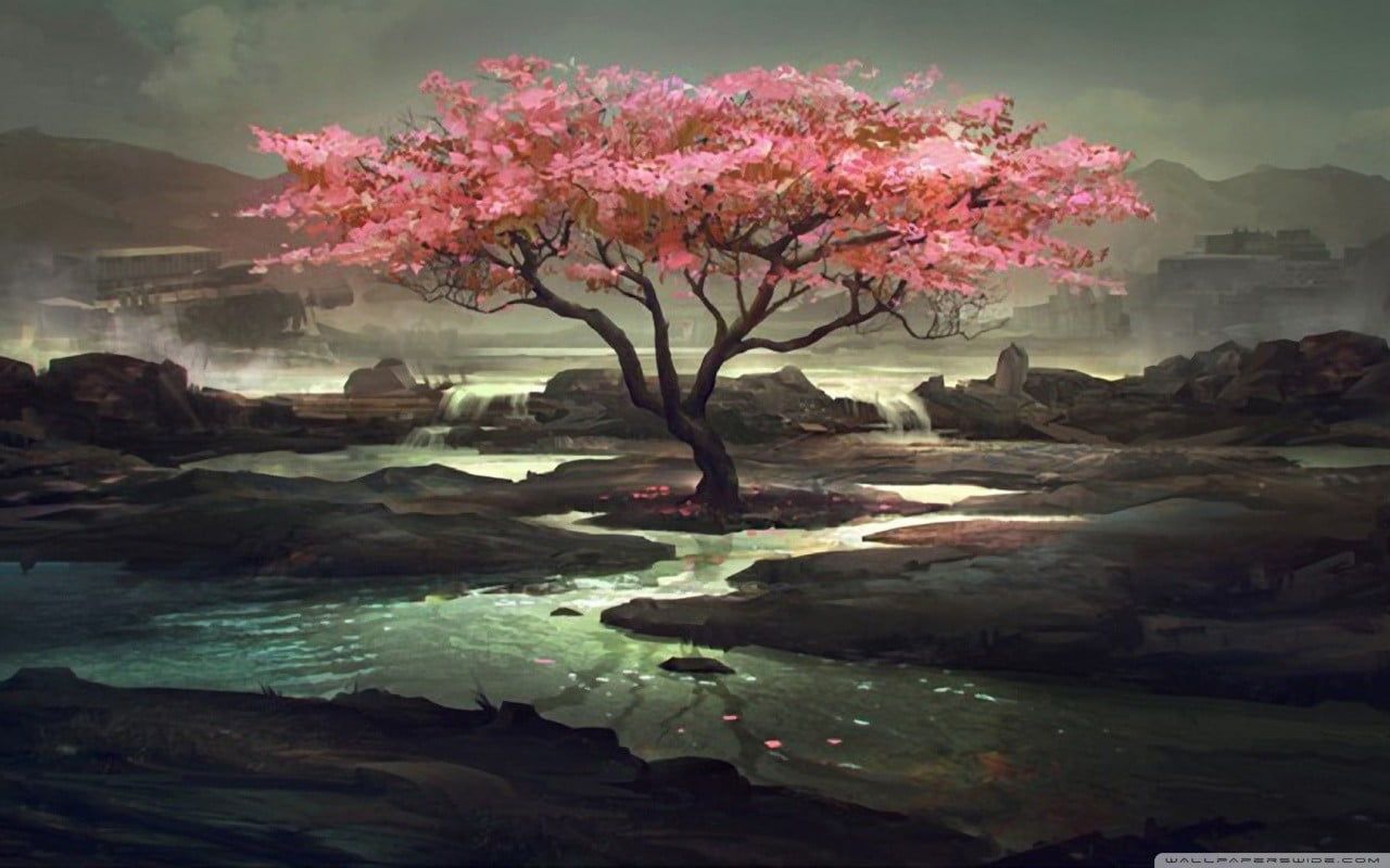 Albero di ciliegio fantasy fiume, 1280x800 720p, PC