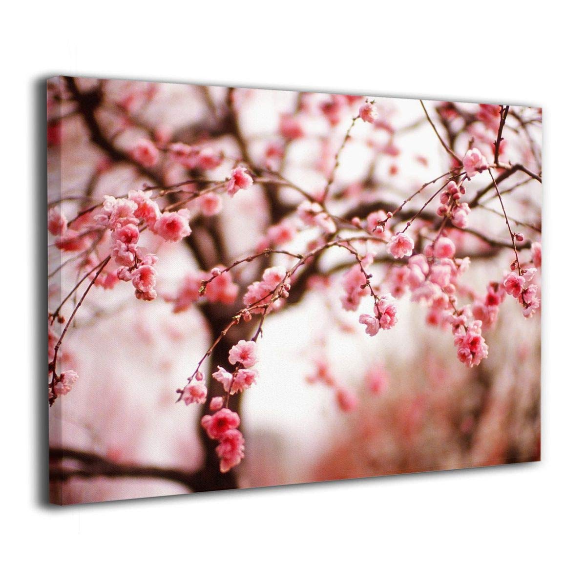 Quadro fiori di ciliegio rosa, 1200x1200 HD, Desktop