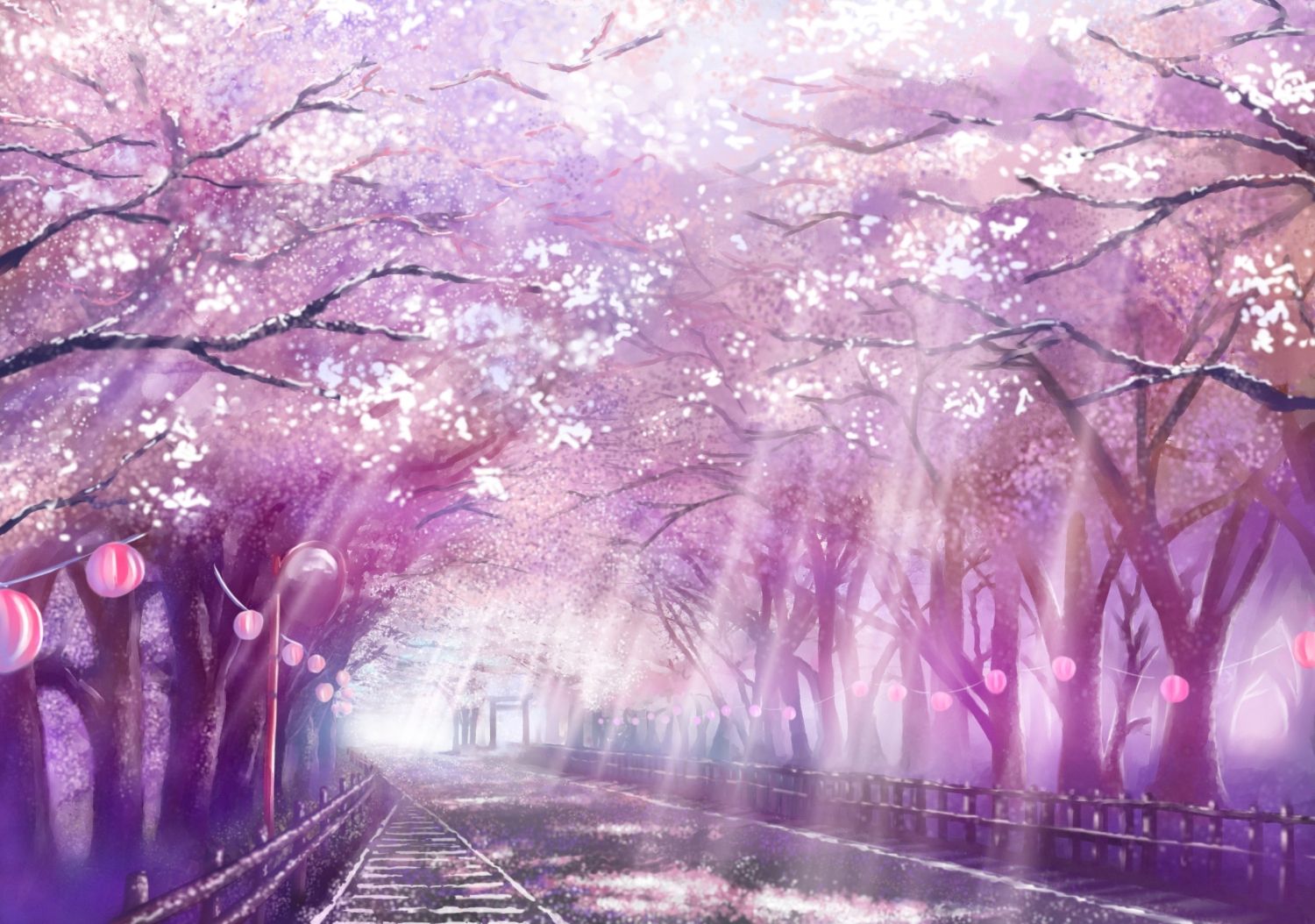 Viale con fiori di ciliegio anime, 1500x1054 720p, Laptop