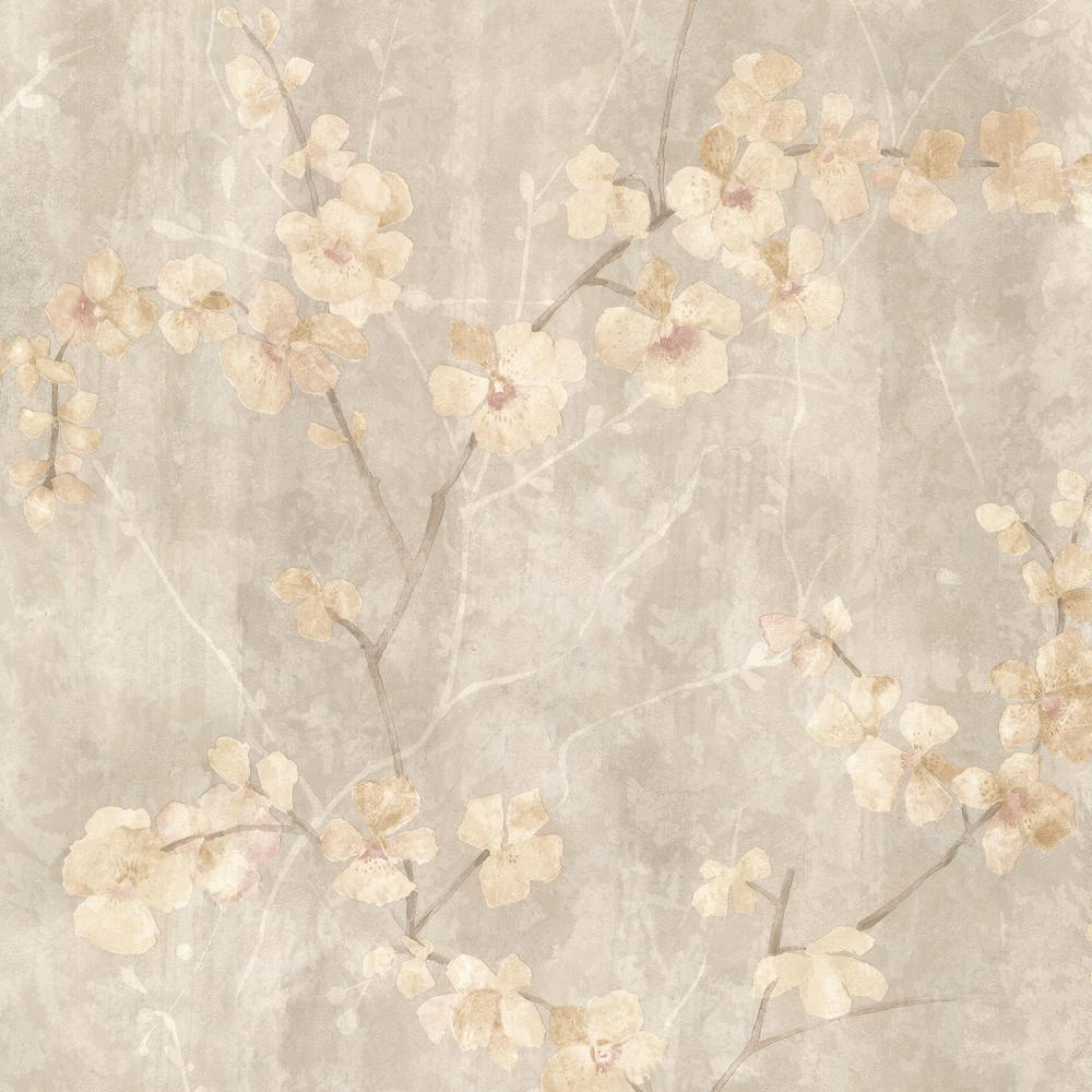 Rami fiori di ciliegio beige, 1000x1000 HD, Laptop