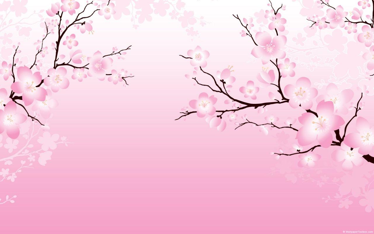 Rami fiori di ciliegio rosa, 1280x800 HD, HP Laptop