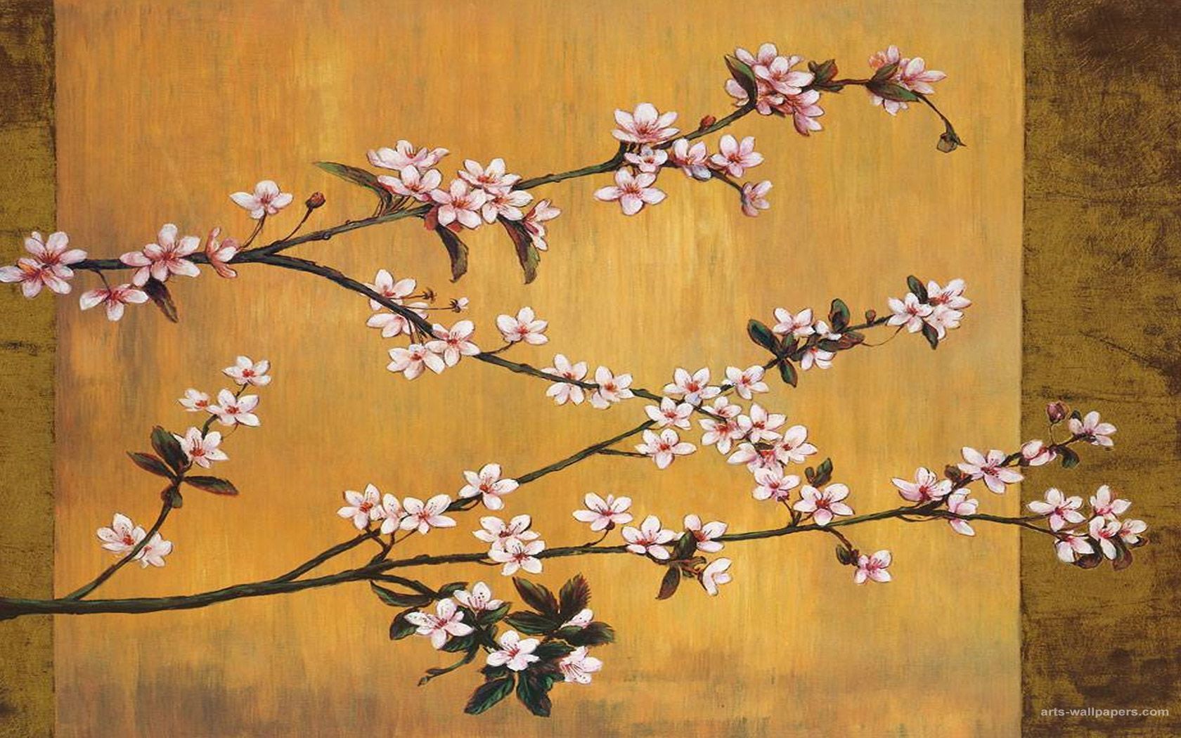 Fiori di ciliegio dipinti, sfondo dorato, 1680x1050 HD Ready, PC