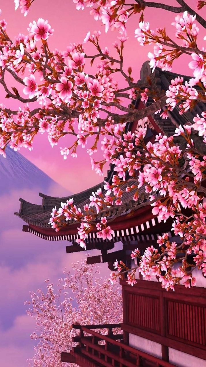 Pagoda giapponese con ciliegi in fiore, 715x1271 Verticale, Xiaomi