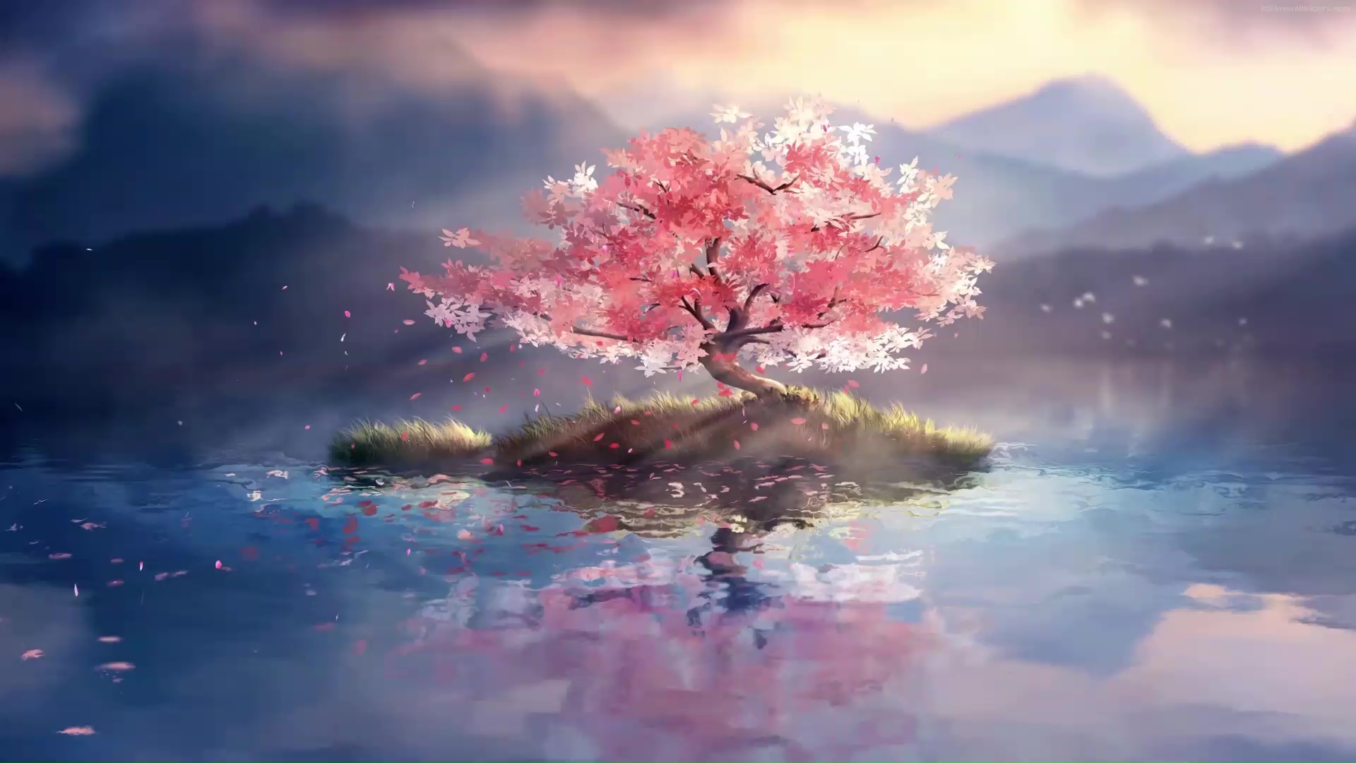 Albero di ciliegio isolato su isola, 1920x1080 1080p, PC