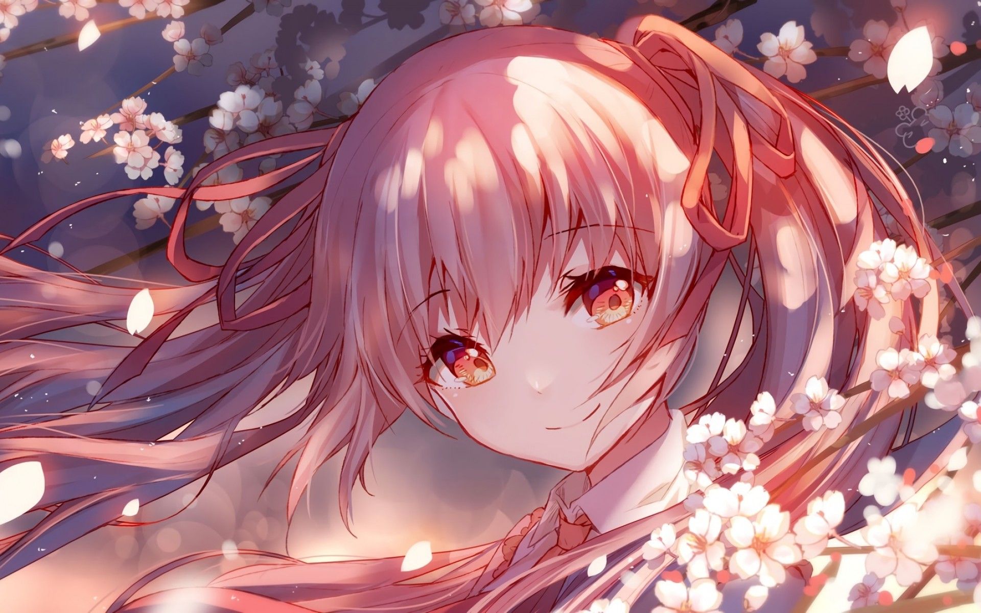 Ragazza anime capelli rosa fiori sakura, 1920x1200 Full HD+, Laptop