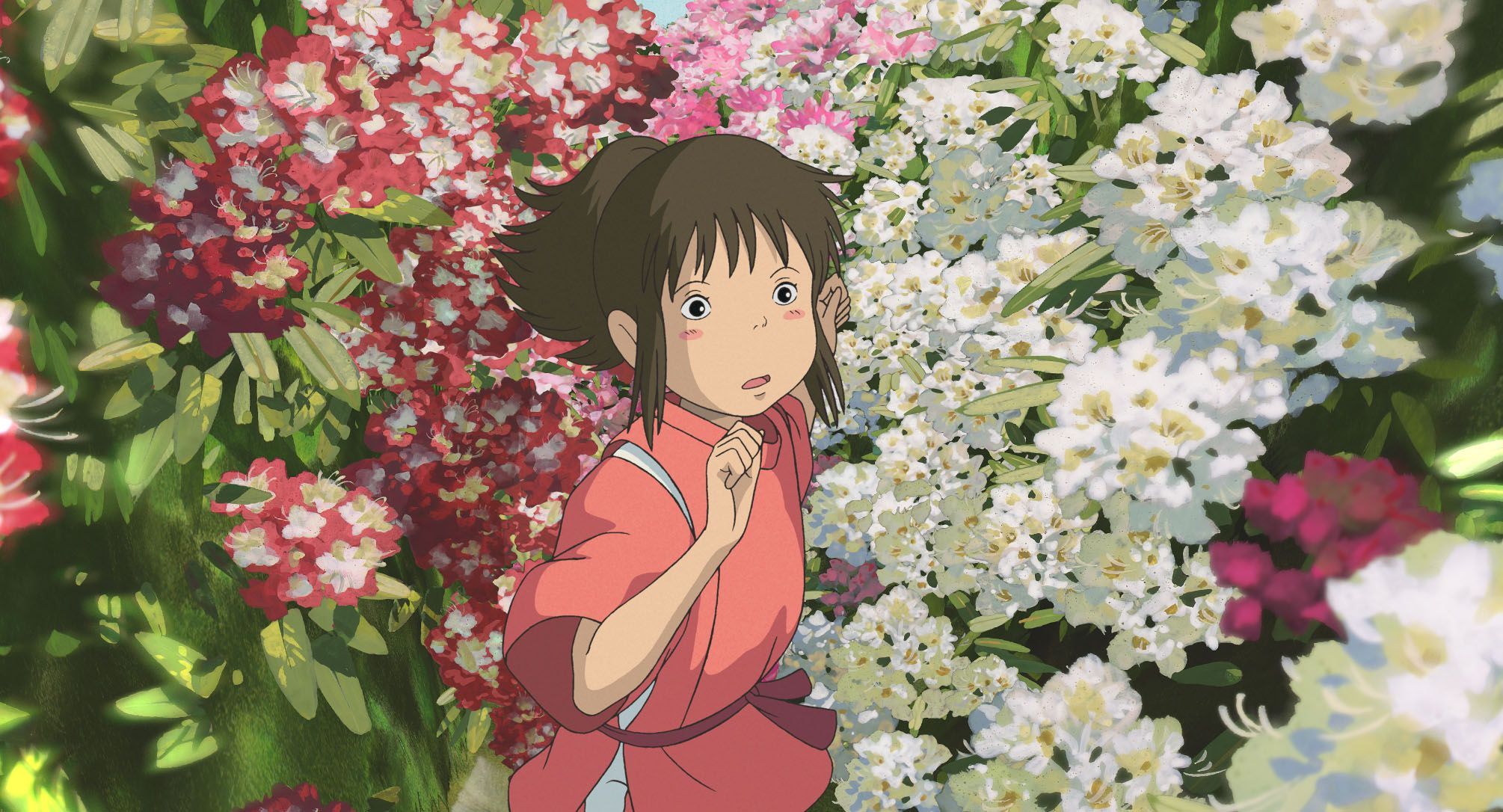 Chihiro tra fiori colorati, 2010x1086 alta risoluzione, PC