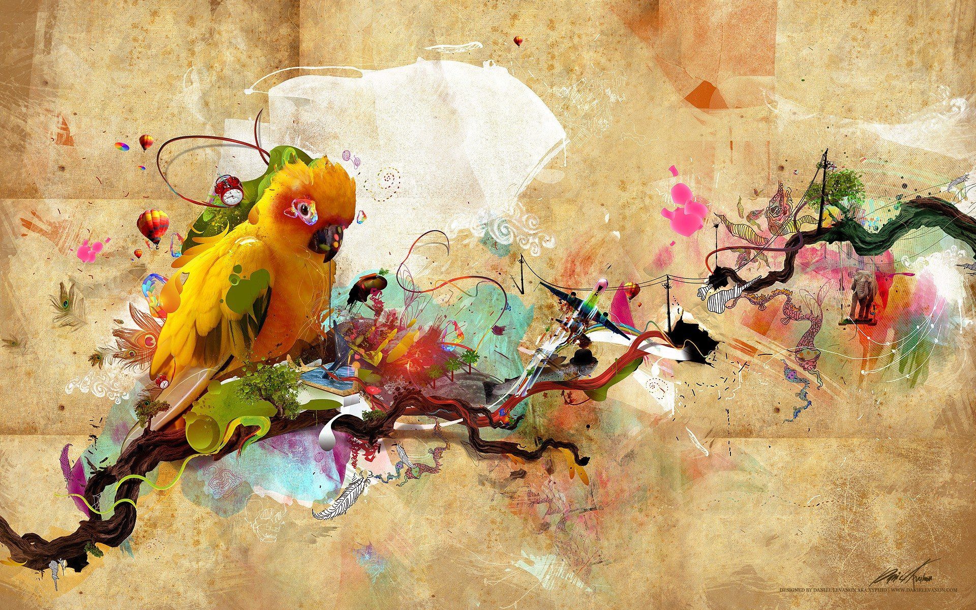 Pappagallo artistico su ramo, 1920x1200 Full HD+, Desktop