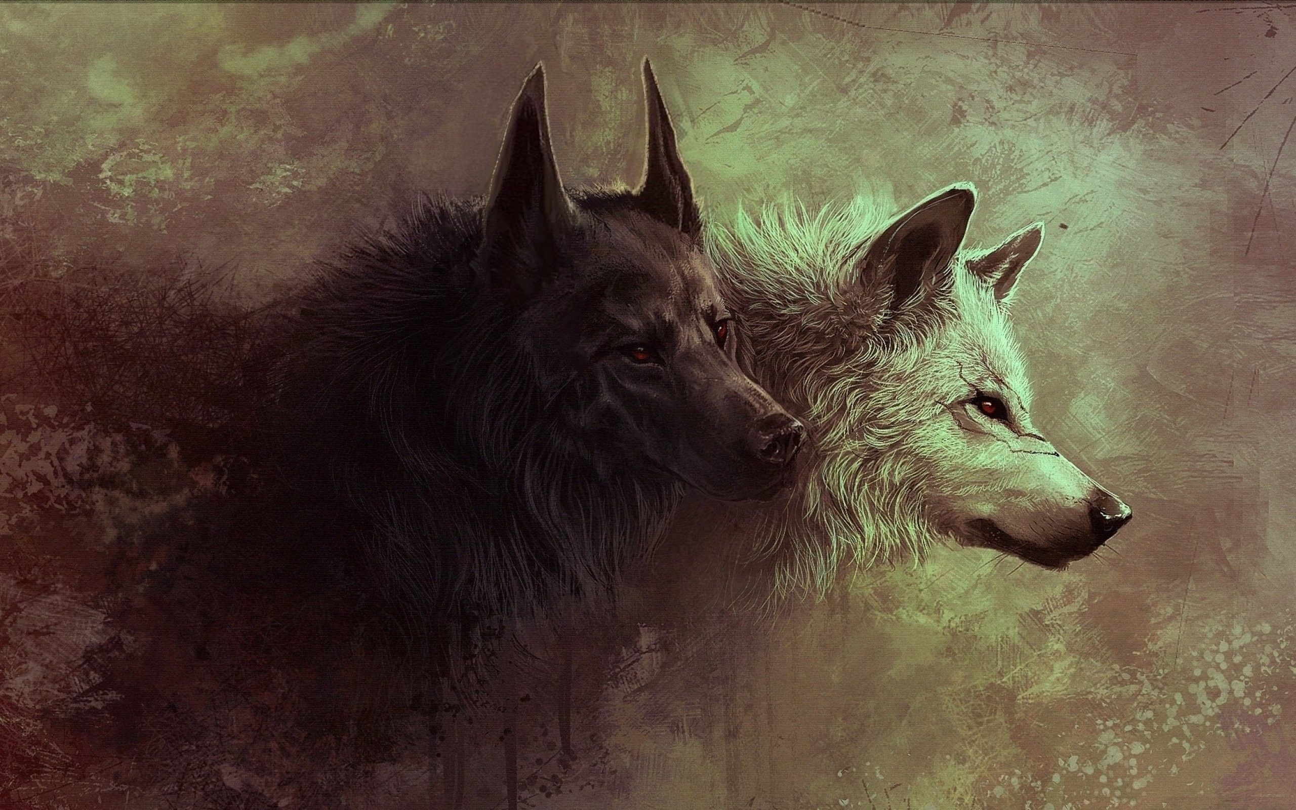 Due lupi artistici scuro chiaro, 2560x1600 2K+, MacBook Pro