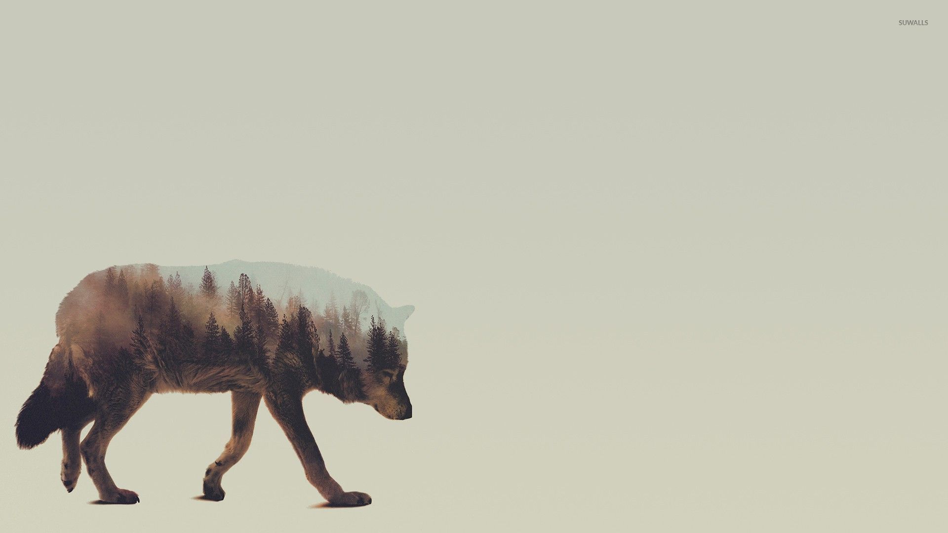 Lupo doppia esposizione foresta, 1920x1080 Full HD, PC Desktop